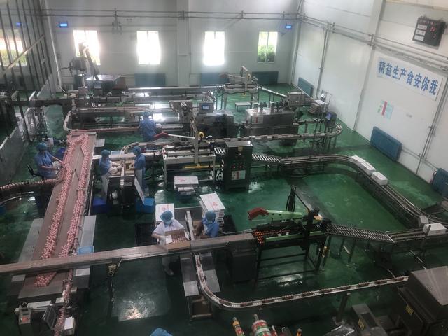 21年始終如一 飲樂多打造消費者放心活性乳酸菌品牌